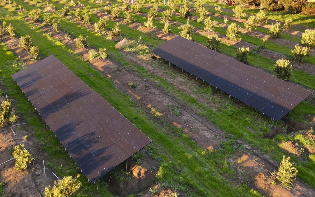 Solar Tax Credits and Incentives for 2024